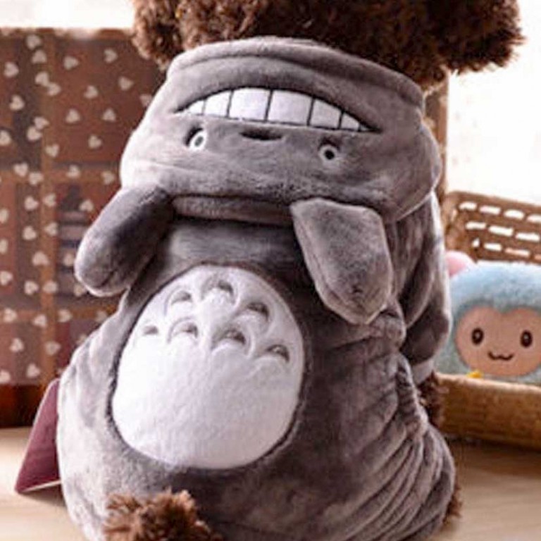 totoro hoodie