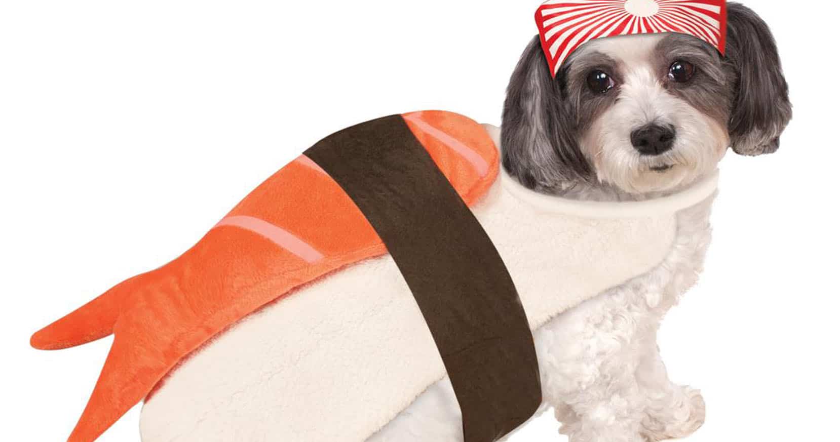 Sushi Dog Costume Shut Up And Take My Yen