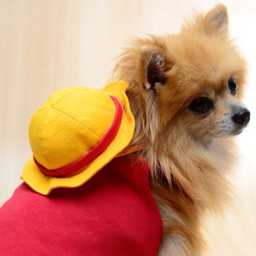 Roupa Pet Luffy One Piece Completa Com Chapéu