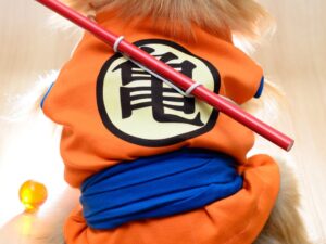 Dog Cosplay Outfits Dragon Ball Z One Piece Shut Up And Take My Yen : Anime & Gaming Merchandise