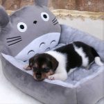 My Neighbor Totoro Dog Bed