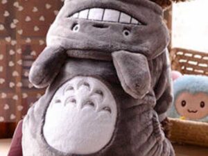 Totoro Dog Hoodie