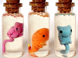 Pokemon Embryo Vials Shut Up And Take My Yen : Anime & Gaming Merchandise