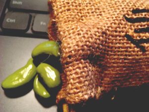 Dragon Ball Z Senzu Beans Bag