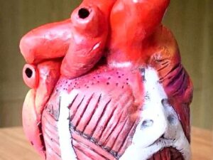 Attack On Titan Anatomical Colossal Titan Heart Shut Up And Take My Yen : Anime & Gaming Merchandise