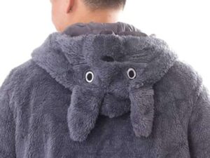 My Neighbor Totoro Hoodie