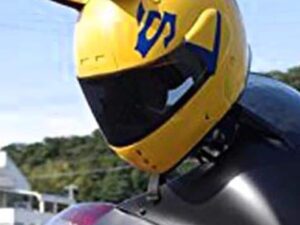 Durarara Celty Helmet