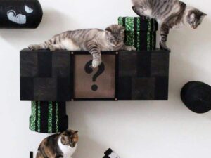 Super Mario Cat Complex