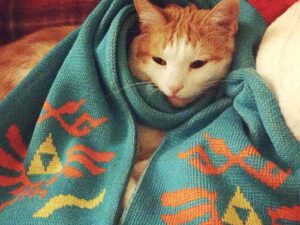 Legend Of Zelda Scarf