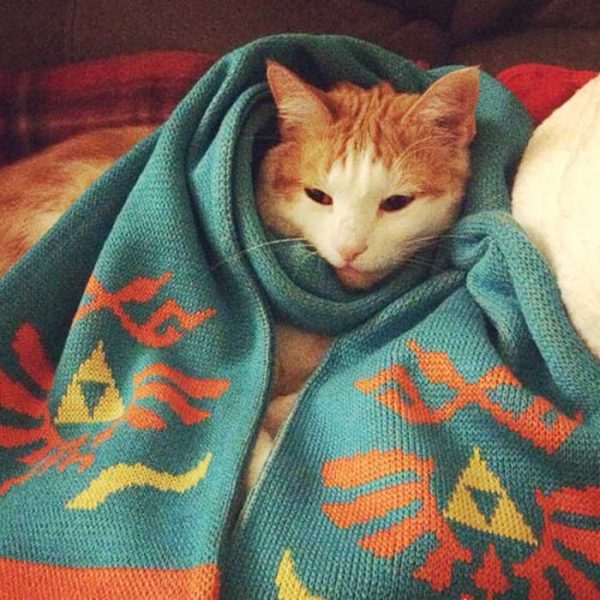 Legend Of Zelda Scarf