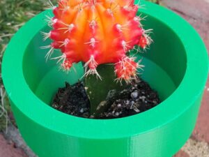 Super Mario Pipe Planter