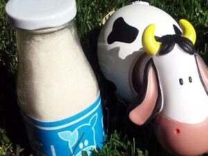 Legend Of Zelda Lon Lon Milk Sugar Scrub