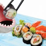 Shark Sushi Plate
