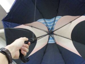Upskirt Umbrella