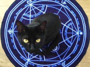 Fullmetal Alchemist Transmutation Circle Rug