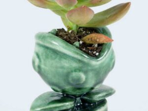 Super Mario Piranha Plant Planter