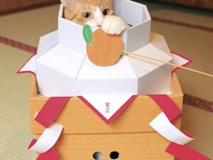 New Year Kagami Mochi Cat House