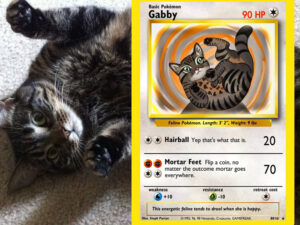 Pet Pokemon Cards