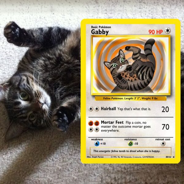 Pet Pokemon Cards