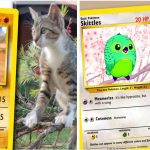 Pet Pokemon Cards