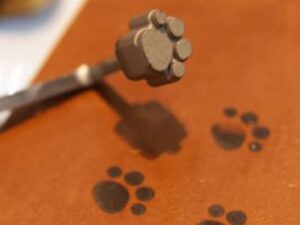 Cat Paw Branding Iron