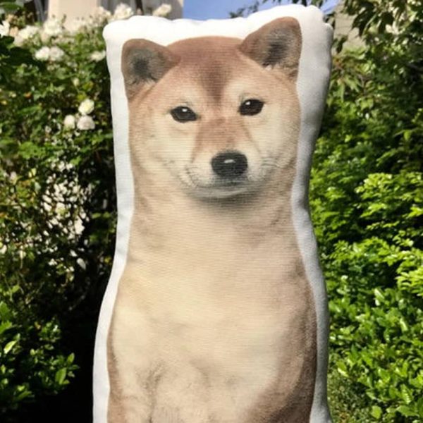 Shiba Inu Cushion