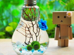 Japanese Light Bulb Aquarium