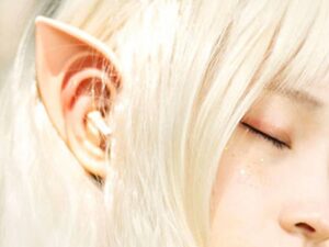 Elf Ear Earphones