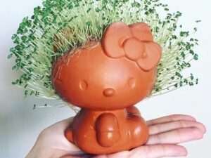 Hello Kitty Chia Pet