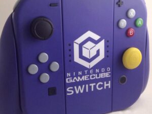 Custom Switch Controllers