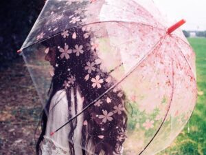 Cherry Blossom Umbrella