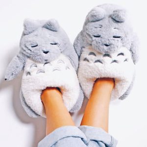 My Neighbor Totoro Slippers