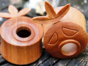 Legend Of Zelda Deku Plugs