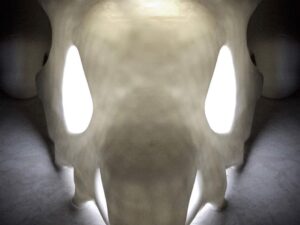 Pokemon Cubone Skull Night Light