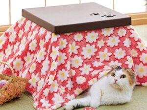 Cat Kotatsu Cardboard House