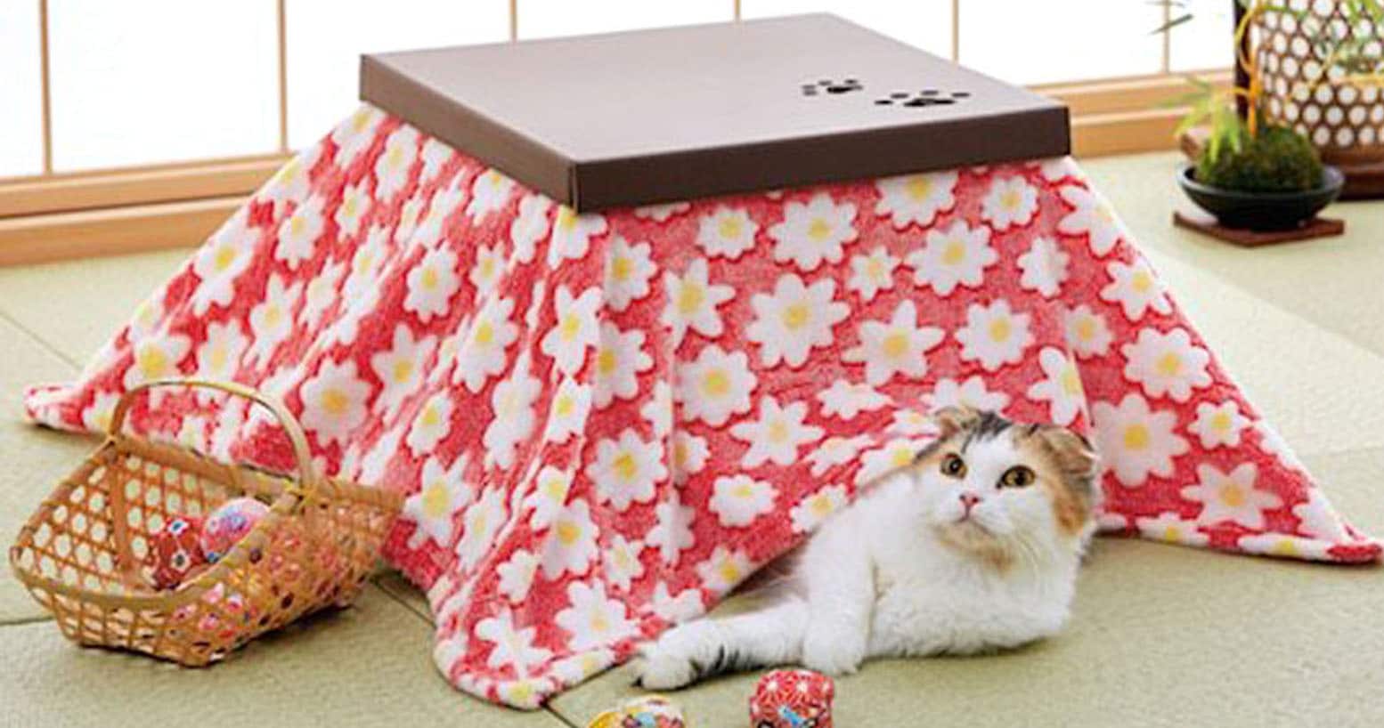 Cat Kotatsu Cardboard House - Shut Up And Take My Yen