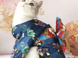 Cat Kimono