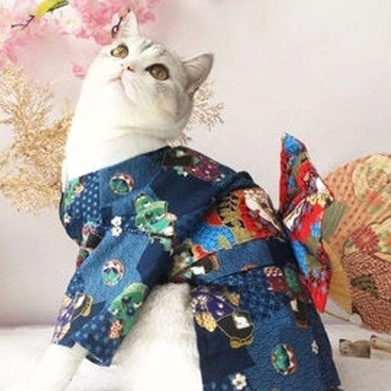 Cat Kimonos Shut Up And Take My Yen