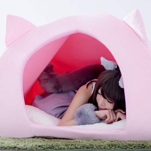 Human Pet House