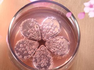 Cherry Blossoms Whiskey Stones