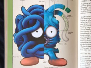 Pokemon Anatomy Book PokeNatomy Book