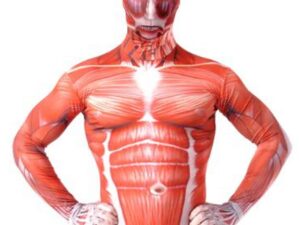 Attack On Titan Colossal Titan Morphsuit