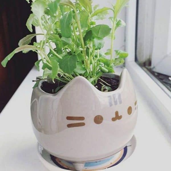 Pusheen Planter