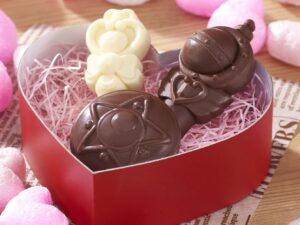 Sailor Moon Silicone Mold