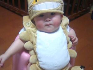Totoro Catbus Baby Costume