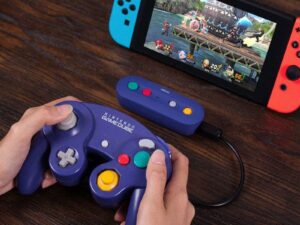 GameCube Nintendo Switch Adaptor
