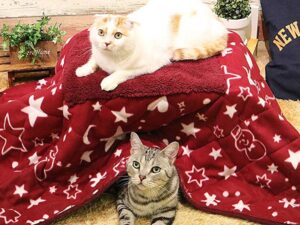 Heated Kotatsu Table For Pets