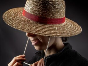 One Piece Luffy Straw Hat