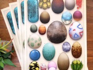 Pokemon Egg Poster