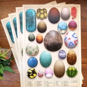 Pokemon Egg Poster